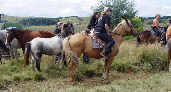 BOER